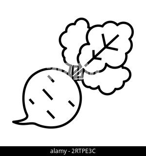 Simple outline of fresh beetroot with leaves vector icon Stock Vector