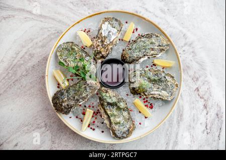 Plate with oysters on ice with lemon and sauce on a marble table Stock Photo