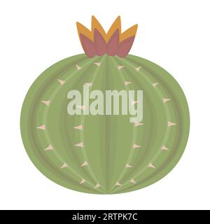 Round cactus with flower, color vector illustration of wild west made in boho style Stock Vector