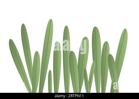 blades of green grass-  vector illustration Stock Vector