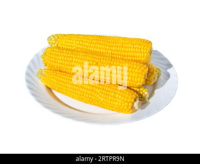Boiled corn on a white plate isolated on white background. Corn cobs. Stock Photo