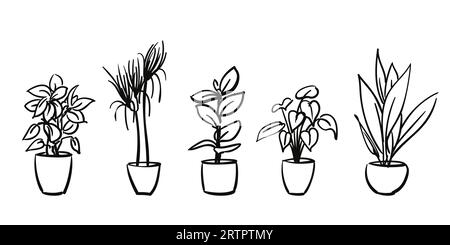 Potted plants isolated Hand drawn illustration set, Vector sketch, Indoor houseplant flowerpot freehand drawing Stock Vector