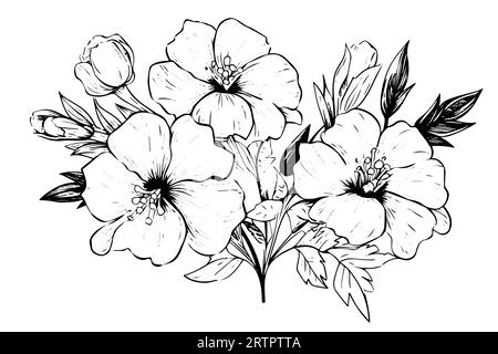 Isolated cosmea vector illustration element. Black and white engraving style ink art. Stock Vector