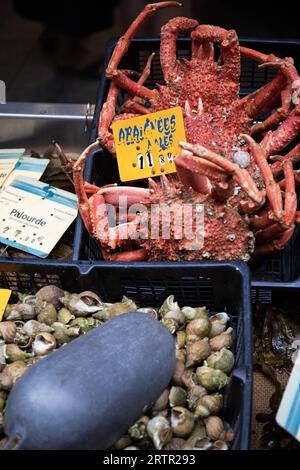 Crabs and clams for sale on market stall, in a black boxes. Seafood is a famous local food product in Brittany, France. Vertical shot. Stock Photo