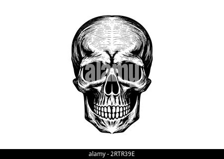 Human skull in woodcut style. Vector engraving sketch illustration. Stock Vector