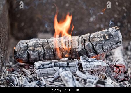 Burning wood and smoldering coals in bonfire close-up. Bright fire flame. Stock Photo