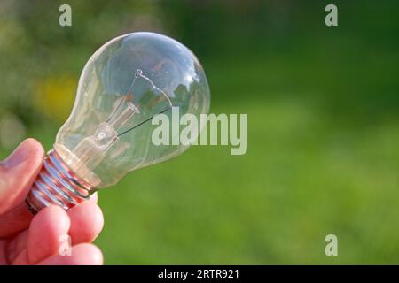 Incandescent lamp in a hand on the green grass background Stock Photo
