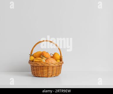 Beautiful decorative pumpkins in a basket on a white table. Autumn or Thanksgiving concept. Fall decor. Autumn harvest with copy space. Stock Photo