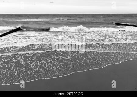 Beach view with shore water and breakwaters, black and white photo. Baltic Sea coast landscape photo. Zelenogradsk, Kaliningrad Oblast, Russia Stock Photo