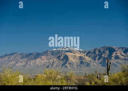 Green Desert Plants in Valley Below Snow Covered Mountains in Saguaro National Park Stock Photo