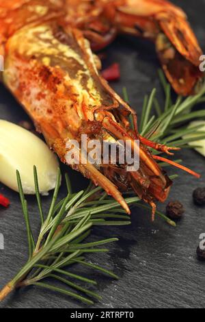 Grilled king prawn with rosemary, garlic and spices on black slate Stock Photo