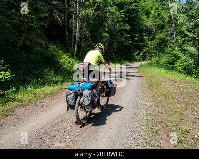 WA23684-00...WASHINGTON - Tom Kirkendall riding up Forest Road 2620 while following the Olympic Bikepacking from the Top Route. Stock Photo