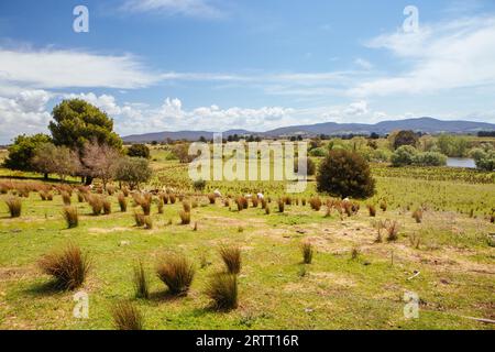 A warm spring day in Lancefield with rural country landscape in Victoria, Australia Stock Photo