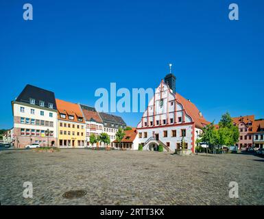 Grimma Town Hall, Market, Grimma, Saxony, Germany Stock Photo