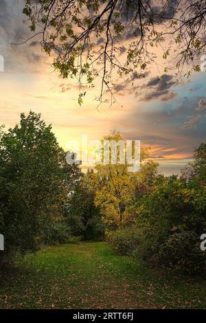 Meandering through the woodland trail, I found myself ensconced in the breathtaking beauty of autumn.I couldn't resit, then I took this picture. Stock Photo
