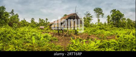 Simple wooden house on field surrounded by ferns and other plants in Dekai, Papua, Indonesia Stock Photo