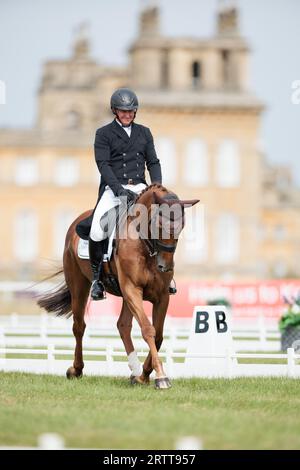 Matthew Heath of Great Britain with Sugar Rush Th during the dressage test at the Blenheim Palace International Horse Trials on September 14, 2023, United Kingdom (Photo by Maxime David/MXIMD Pictures - mximd.com) Stock Photo