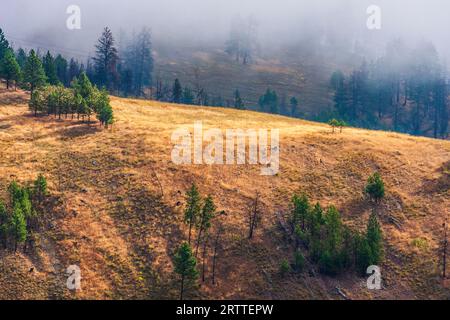 Fog and mist in early morning light on mountains in western Montana along scenic highway I-90. Stock Photo