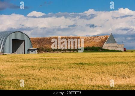 Quonset hut potato storage cellar in southeastern Idaho. Cellars built for the storage of large amounts of potatoes came into use in the early 1900s. Stock Photo