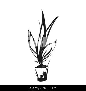 Houseplant in pot quirky digital sketch, Vector abstract illustration hand drawn black and white floral design element Stock Vector