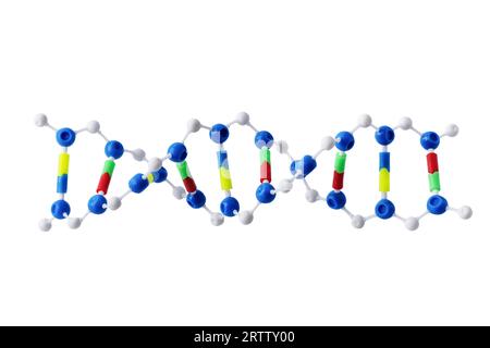 DNA model isolated on white background. DNA souvenir. Stock Photo