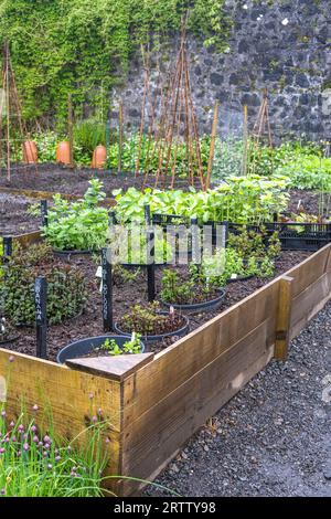 raised flower beds for growing herbs and vegetables at the Dunvegan Castle in Scotland Stock Photo