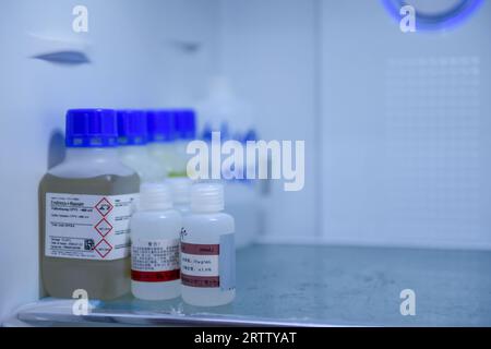 Chemical reagent bottles stored in a laboratory refrigerator Stock Photo
