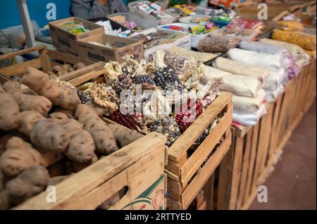 Different types of corn in the Central Market of the city of Tilcara in the province of Jujuy in Argentina in 2023. Stock Photo