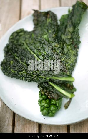Cavolo nero leaves on a white plate Stock Photo