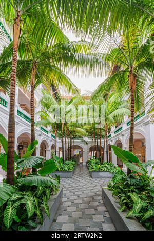 Palm trees in a courtyard  at the Raffles Hotel, Singapore Stock Photo