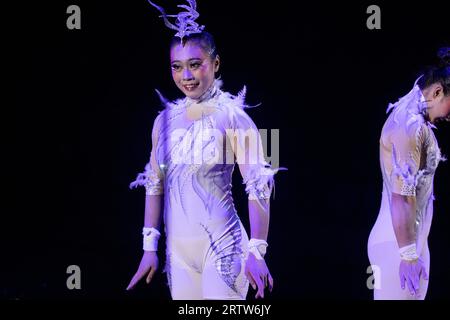 Aerial trapeze circus artists from China Liu Xinqi and Xu Yangqian (Chinese Huanggang Hishui Circus Troupe) at the arena of the I International Festival of the Nikulin's Moscow Circus on Tsvetnoy Boulevard 'Artist' in Moscow, Russia Stock Photo