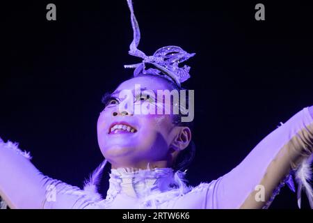 Aerial trapeze circus artists from China Liu Xinqi and Xu Yangqian (Chinese Huanggang Hishui Circus Troupe) at the arena of the I International Festival of the Nikulin's Moscow Circus on Tsvetnoy Boulevard 'Artist' in Moscow, Russia Stock Photo