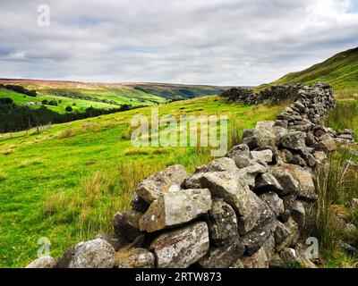 View along Upper Nidderdale from the Nidderdale Way ascending from Scar House Nidderdale AONB North Yorkshire England Stock Photo