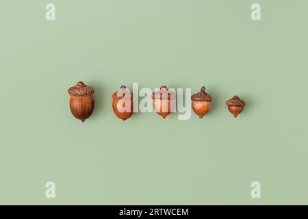 Pattern with oak acorns on green background. Minimal art Stock Photo