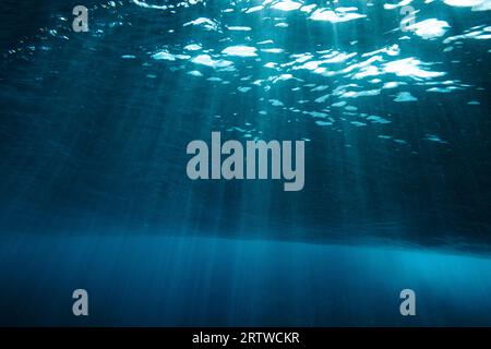Wave underwater view with the rays of the sunset lights Stock Photo