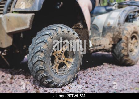 Group of riders riding ATV vehicle crossing forest rural road, process of driving a rental vehicle, all terrain quad bike vehicle, during off-road tou Stock Photo
