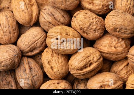 Fresh walnuts in the shell full frame close up as background Stock Photo