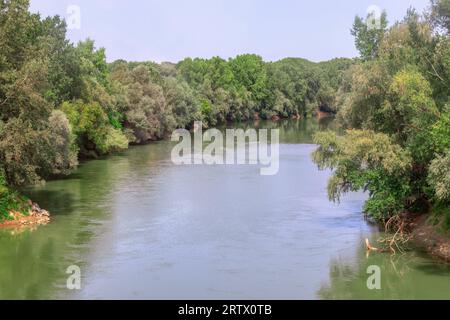 River and forest. Nature composition with river and forest on the background Stock Photo