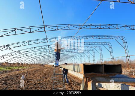 LUANNAN COUNTY, China - December 1, 2021: farmers weld steel skeleton greenhouses in farmland, North China Stock Photo