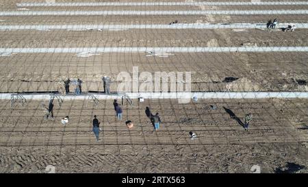 farmers weld steel skeleton greenhouses in farmland, North China Stock Photo