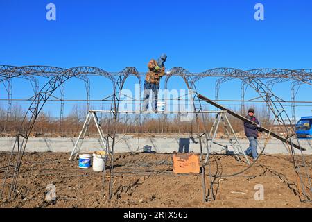 LUANNAN COUNTY, China - December 1, 2021: farmers weld steel skeleton greenhouses in farmland, North China Stock Photo