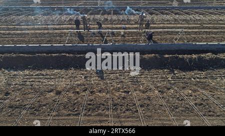 farmers weld steel skeleton greenhouses in farmland, North China Stock Photo