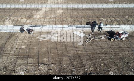 farmers weld steel skeleton greenhouses in farmland, North China Stock Photo