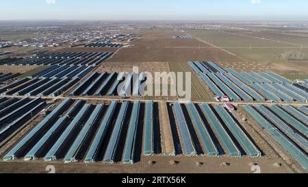 The greenhouse is in the North China Plain Stock Photo