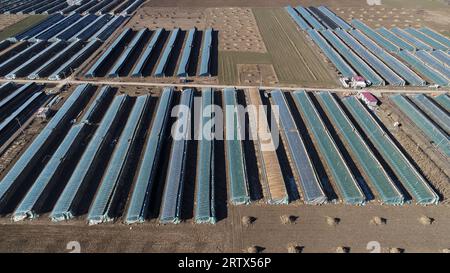 The greenhouse is in the North China Plain Stock Photo