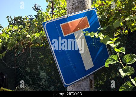 Dead  end road sign on a concrete pole surrounded by foliage on a sunny day seeen up close Stock Photo