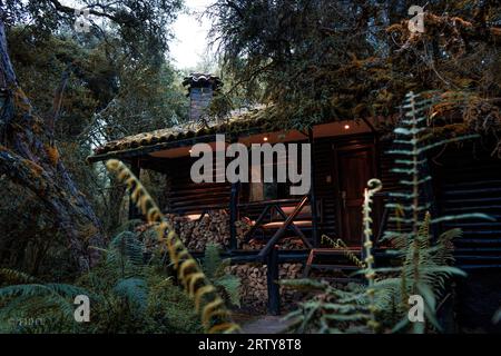 Beautiful wooden mystery house in the middle of the ancient forest in Ecuador, called Polylepis forest. Stock Photo