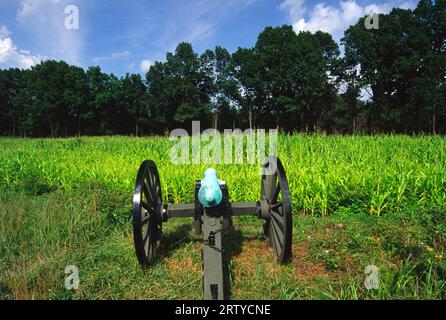 Cannon, Pea Ridge National Military Park, Arkansas Stock Photo
