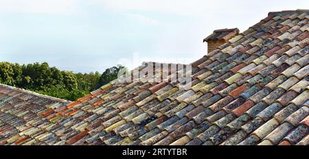 The old, variegated, colored tiles with moss growing on them placed symmetrically on the roof Stock Photo