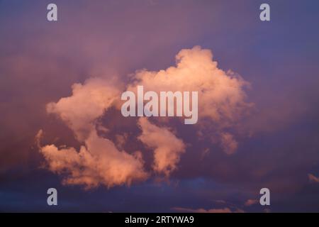Cumulus clouds in the evening sky, Omaruru, Erongo Region, Namibia Stock Photo